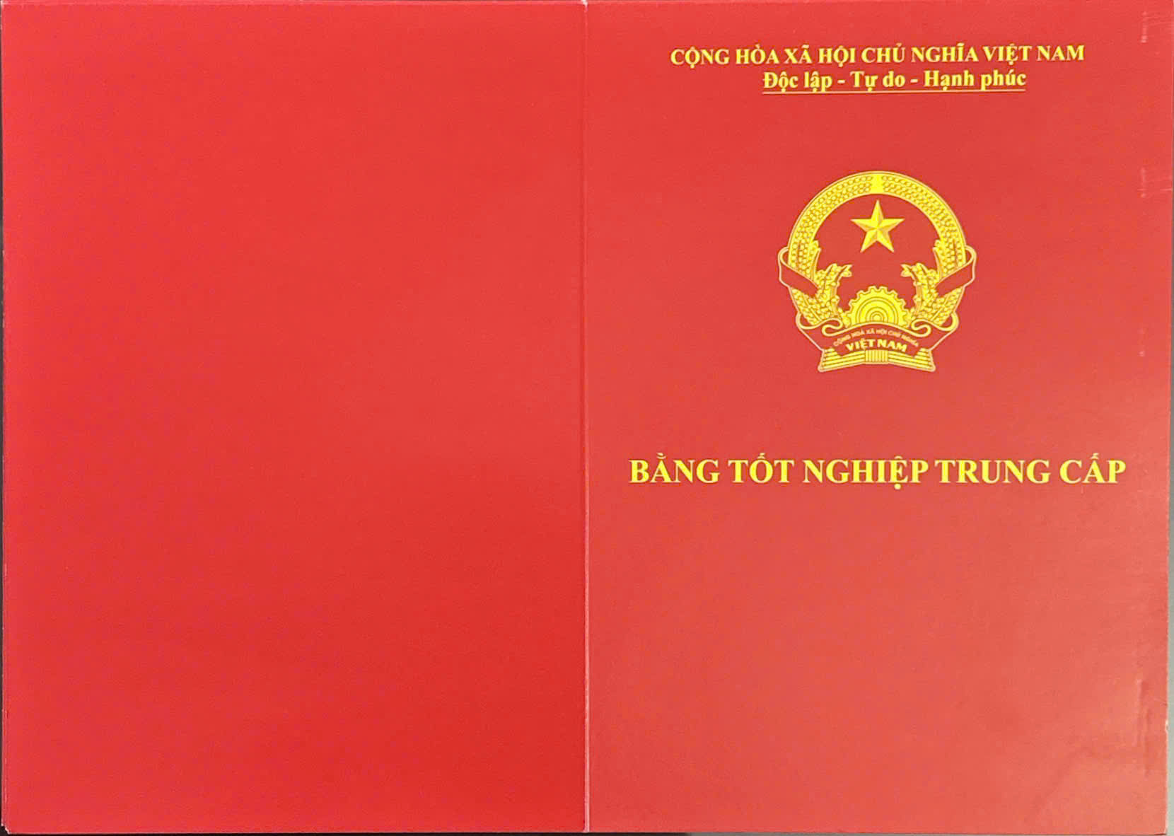 Mẫu chứng chỉ Trung cấp tiếng Hàn Quốc